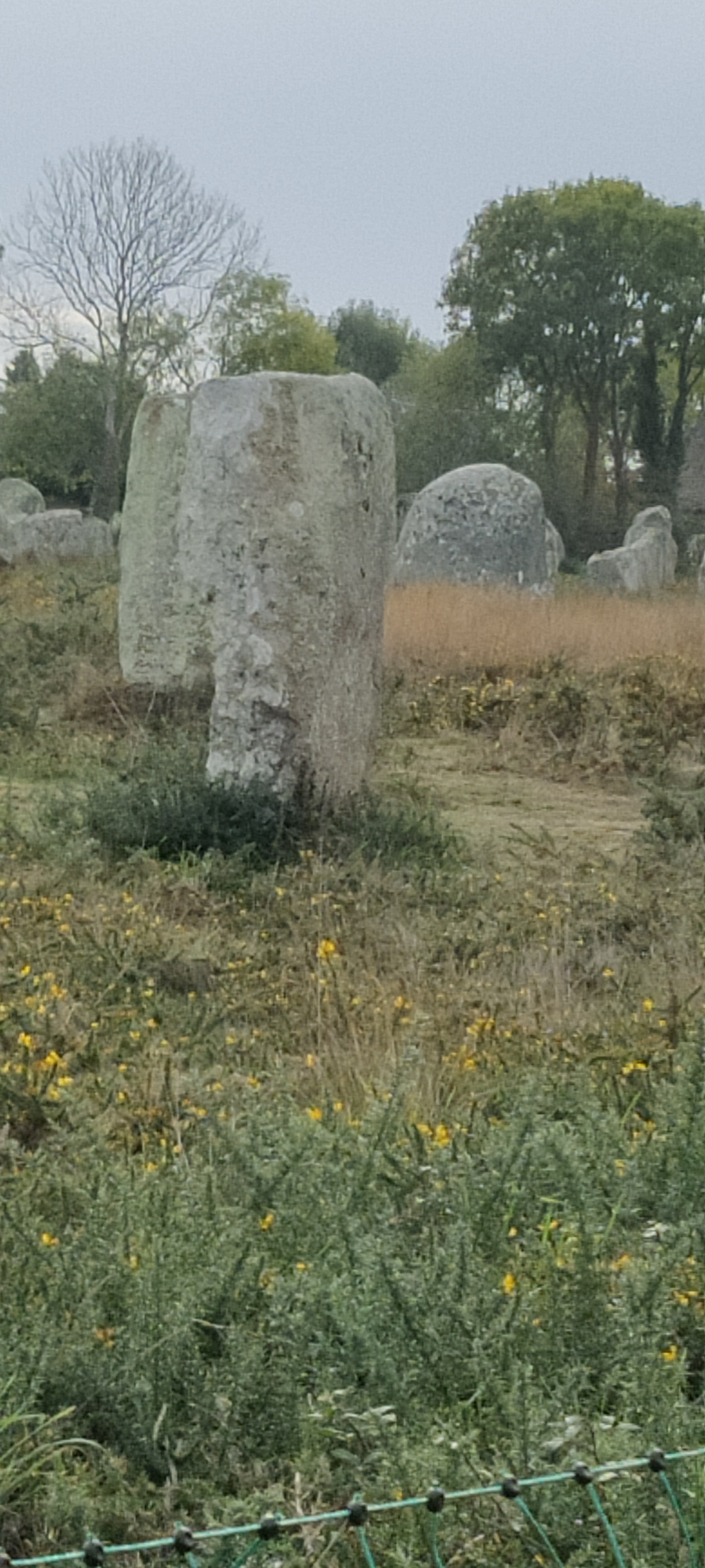 Photo n° 5 de l'avis de Nathalie.c fait le 27/10/2022 à 16:17