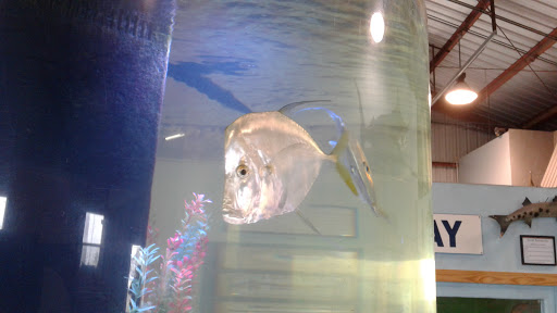 Aquarium «The Aquarium at Rockport Harbor, Inc.», reviews and photos, 706 Navigation Cir, Rockport, TX 78382, USA