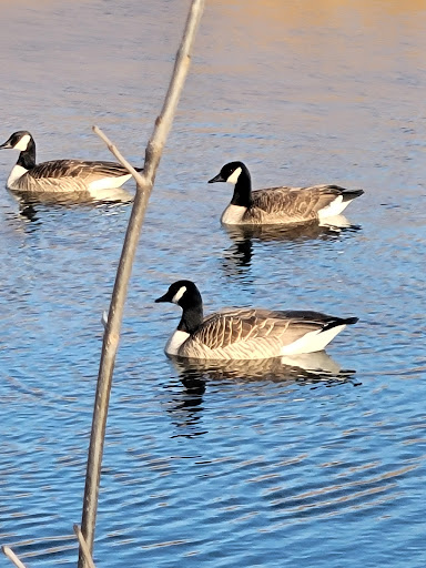 Park «Meadowbrook Park», reviews and photos, 5001 Meadowbrook Ln, Ellicott City, MD 21043, USA