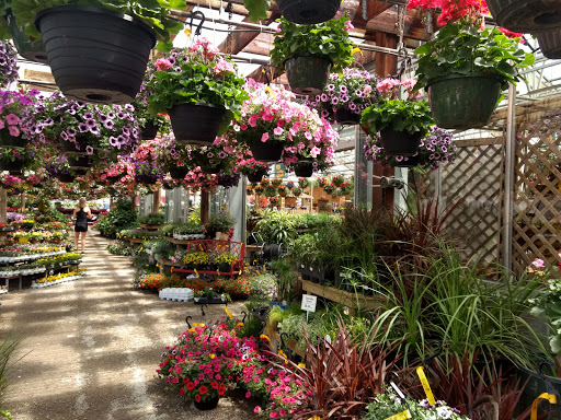 Florist «Breezewood Gardens & Gifts», reviews and photos, 17600 Chillicothe Rd, Chagrin Falls, OH 44023, USA