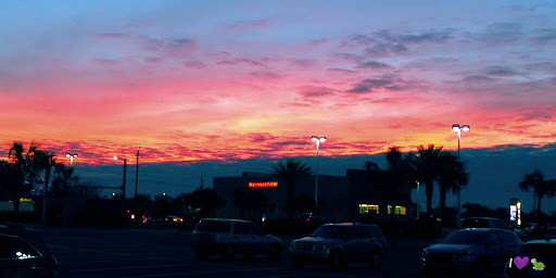 Pet Supply Store «PetSmart», reviews and photos, 15500 Panama City Beach Pkwy #340, Panama City Beach, FL 32413, USA