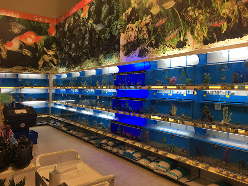 Pet Supply Store «PetSmart», reviews and photos, 3 McKenna Rd, Arden, NC 28704, USA