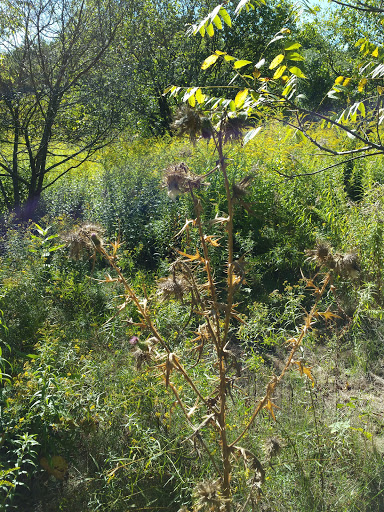 Farm «Pequitside Farm», reviews and photos, 79 Pleasant St, Canton, MA 02021, USA