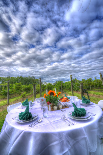 Winery «Deer Run Winery», reviews and photos, 3772 W Lake Rd, Geneseo, NY 14454, USA