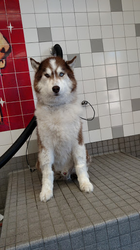 Pet Supply Store «Pet Food Express», reviews and photos, 5148 Stevens Creek Blvd, San Jose, CA 95129, USA