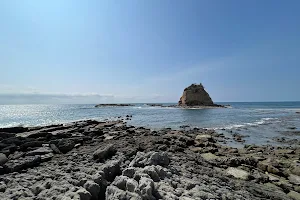 Playa Turtuga image