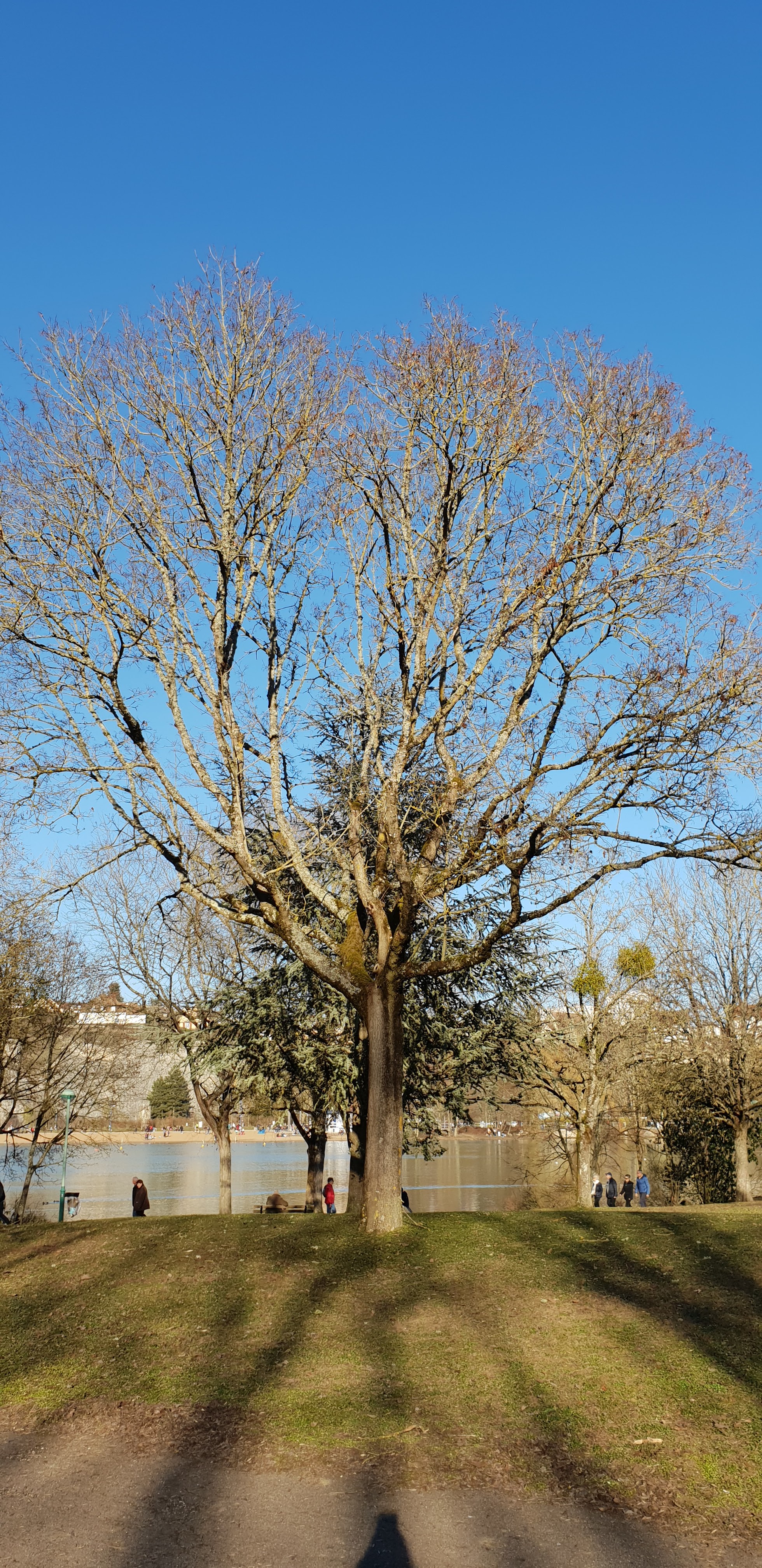 Photo n° 5 de l'avis de Rosa.o fait le 19/03/2019 à 22:34