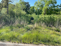 Diesel & Demolition - Photo 8 - Car repair in , Jackson