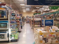 PetSmart - Photo 9 - Car repair in Aliso Viejo, CA, Mission Viejo