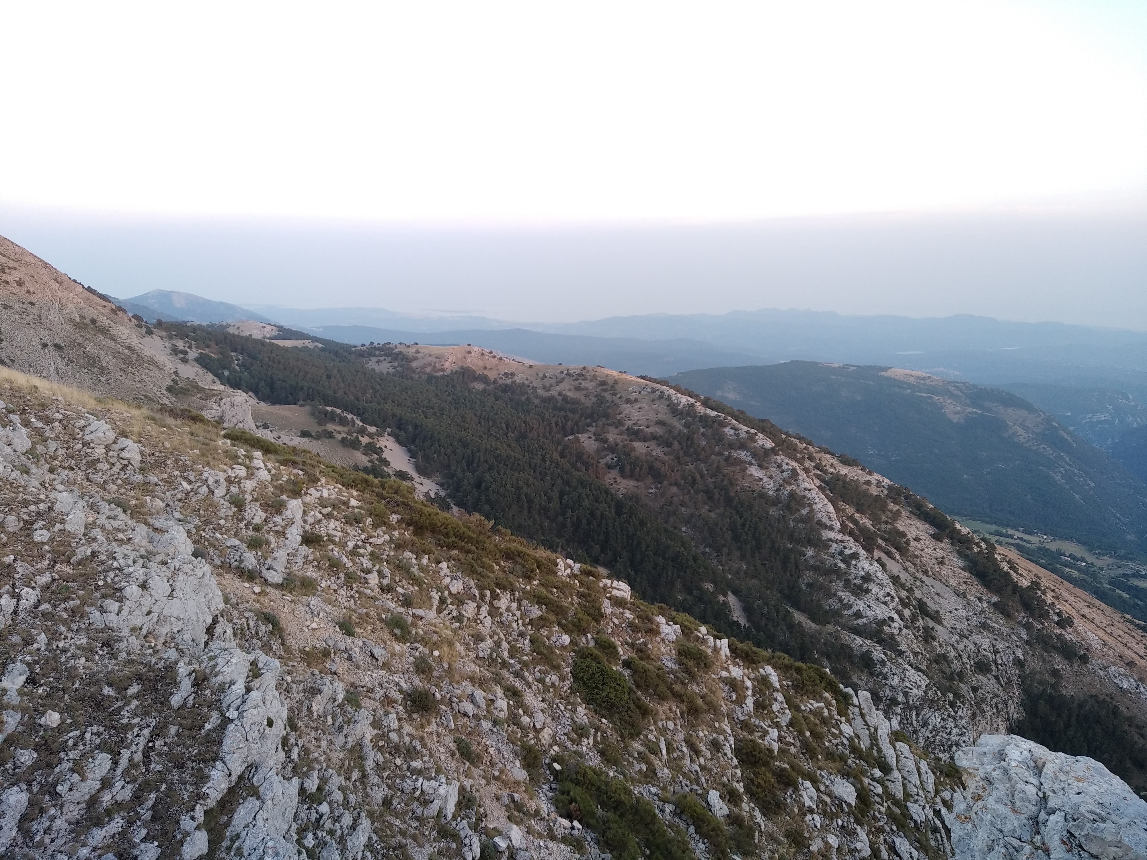 Photo n° 3 de l'avis de Alain.� fait le 14/08/2021 à 18:39