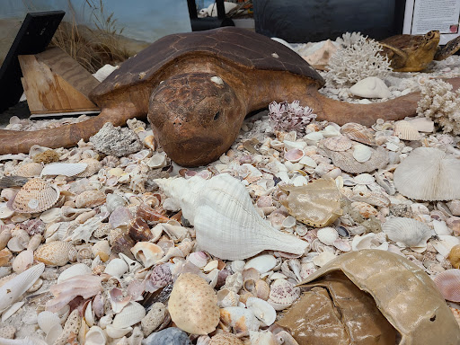 Nature Preserve «Calusa Nature Center & Planetarium», reviews and photos, 3450 Ortiz Ave, Fort Myers, FL 33905, USA