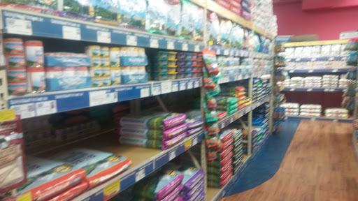 Pet Supply Store «Pet Supermarket», reviews and photos, 1080 Alafaya Trail, Oviedo, FL 32765, USA