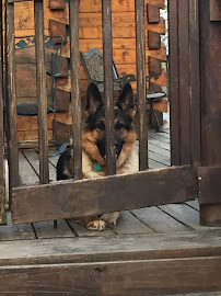 Terminix - Photo 5 - Car repair in Huntington, WV, Huntington