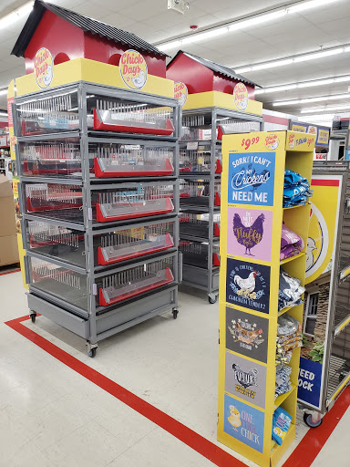 Home Improvement Store «Tractor Supply Co.», reviews and photos, 55 Crystal Ave #17a, Derry, NH 03038, USA