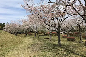 Ikehira Park image