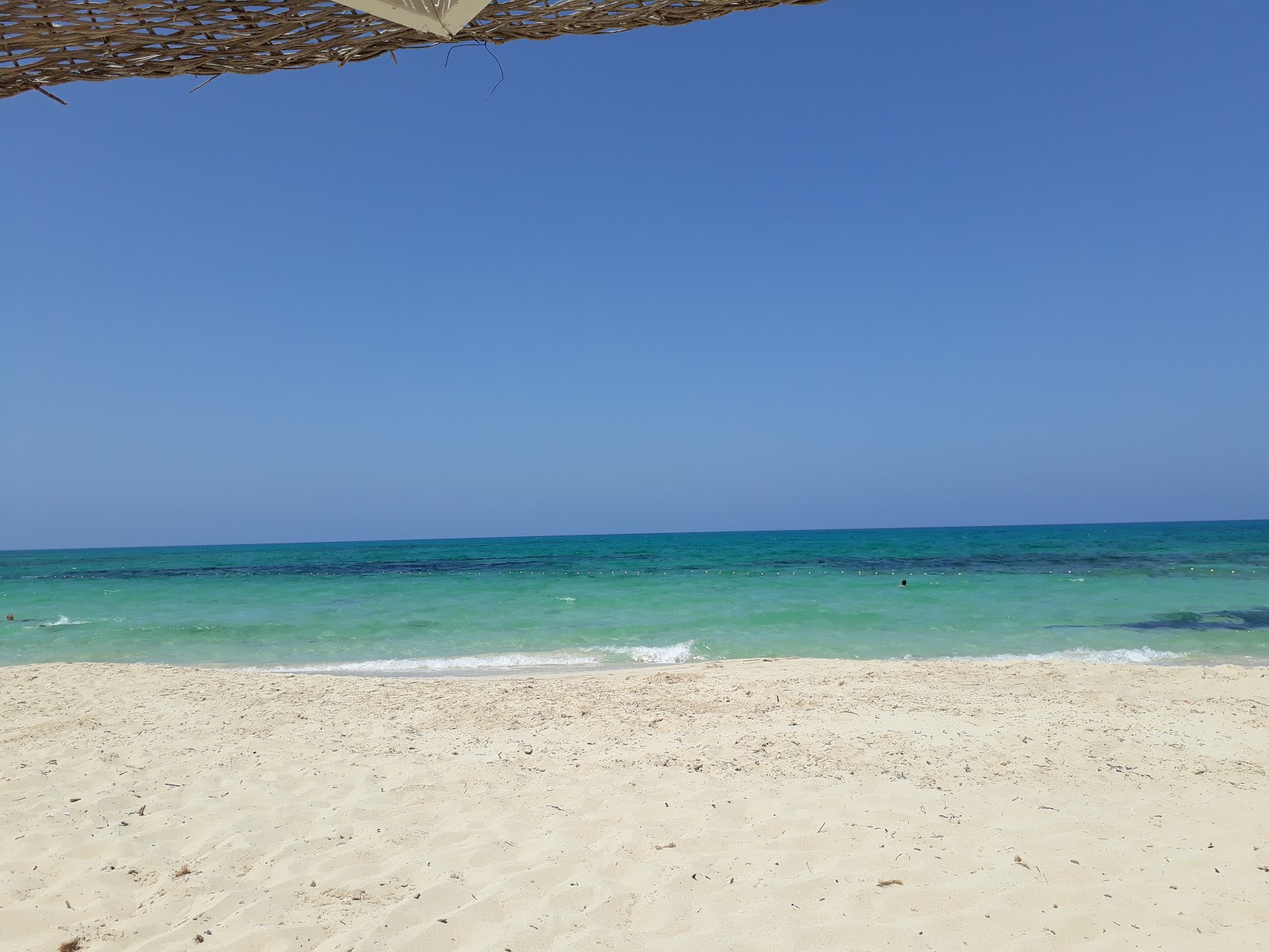 Santa Monika Beach'in fotoğrafı ve yerleşim