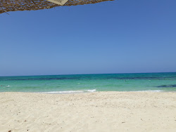 Santa Monika Beach'in fotoğrafı ve yerleşim