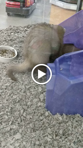 Pet Supply Store «Petco Animal Supplies», reviews and photos, 7215 170th Ave NE #115, Redmond, WA 98052, USA