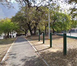 Lake Forest Park photo