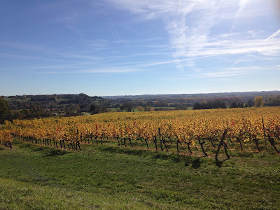 Les Vignerons de Landerrouat Duras Cazaugitat Langoiran à Landerrouat