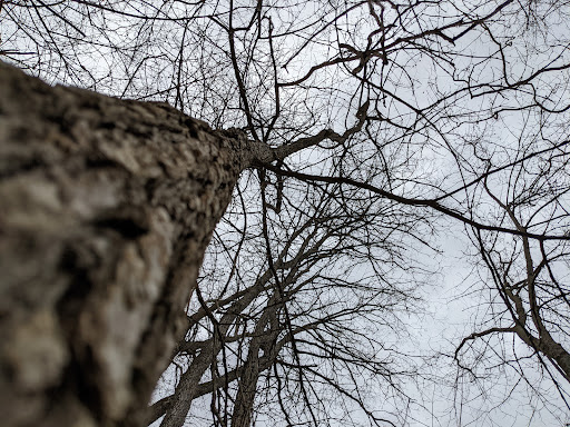 Nature Preserve «Kelley Nature Preserve», reviews and photos, 297 OH-126, Loveland, OH 45140, USA