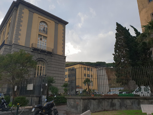 Università degli Studi di Napoli PARTHENOPE