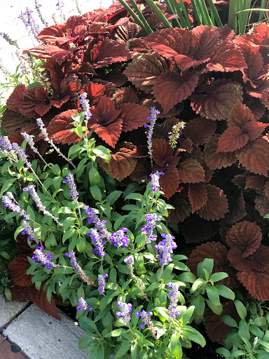 Grocery Store «Central Grocery», reviews and photos, 234 W 3rd St, Davenport, IA 52801, USA