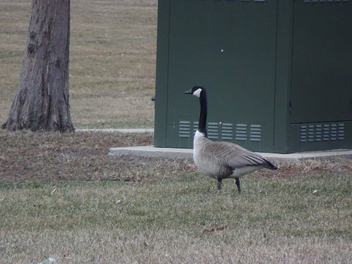 Recreation Center «Warner Park Community Recreation Center», reviews and photos, 1625 Northport Dr, Madison, WI 53704, USA