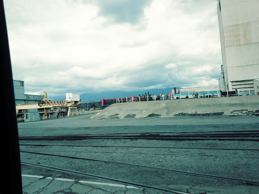 Car Dealer «IAA Vehicle Purchasing», reviews and photos