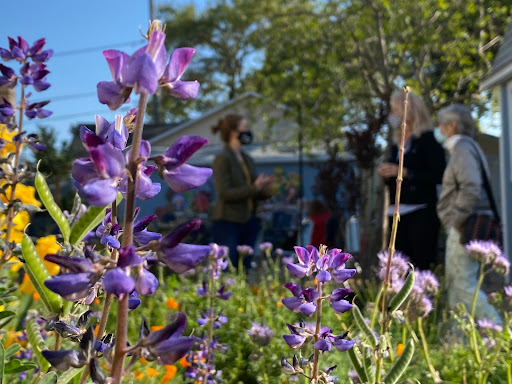 Non-Profit Organization «The Living Room Center», reviews and photos