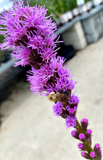 Home Improvement Store «The Home Depot», reviews and photos, 899 County St, Taunton, MA 02780, USA