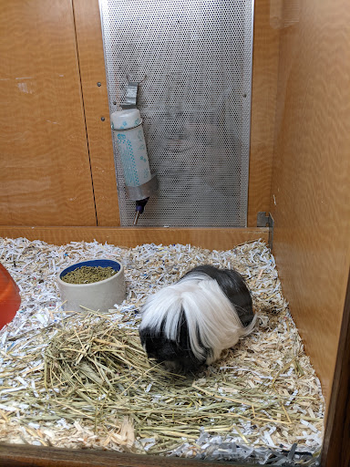 Pet Store «Animal Ark», reviews and photos, 175 S 500 E St, American Fork, UT 84003, USA