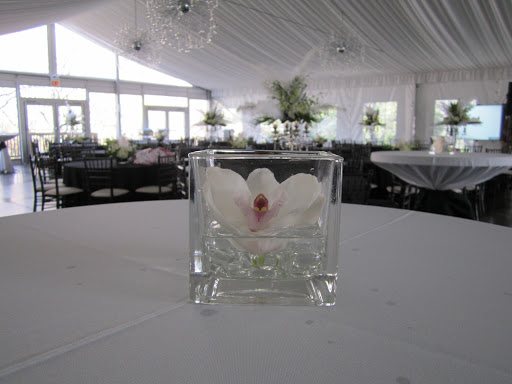 Florist «Westgate Flower & Plant Shop», reviews and photos, 841 S Oak Park Ave, Oak Park, IL 60304, USA