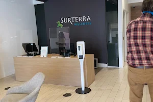 Surterra Wellness - Medical Marijuana Dispensary | Pensacola image