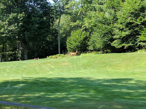 Golf Club «Buck Hill Golf Club», reviews and photos, 27 Holes of Scenic Golf, Buck Hill Falls, PA 18323, USA