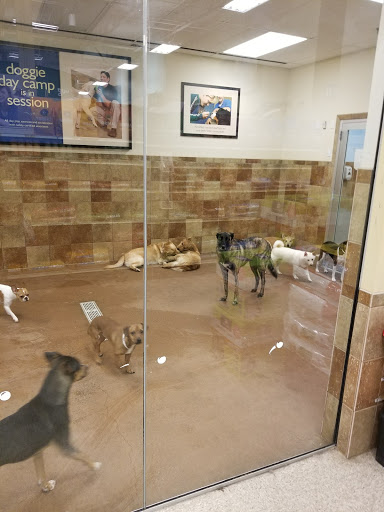 Pet Supply Store «PetSmart», reviews and photos, 114 Commerce Way, Woburn, MA 01801, USA