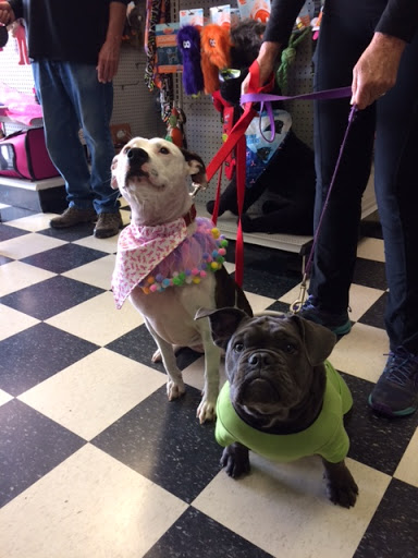 Pet Store «The Pet Place», reviews and photos, 240 Shadowline Dr, Boone, NC 28607, USA