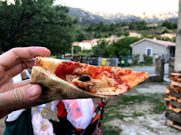 Pizza du Pizzeria Délices de Capoue ( U Querciolu ) à Casamaccioli - n°3