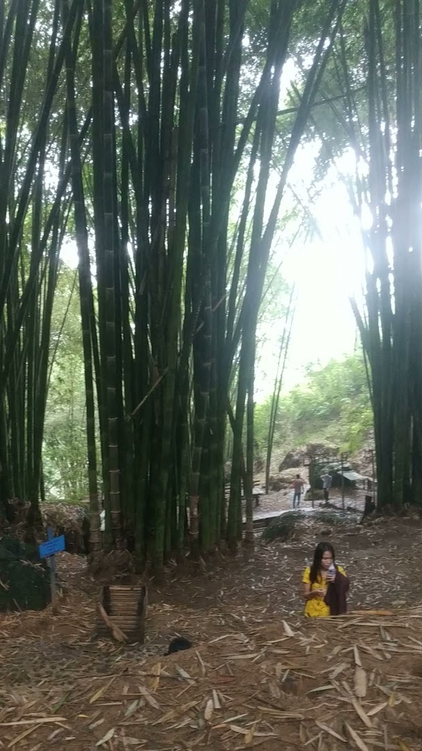 Ke objek wisata hutan bambu 