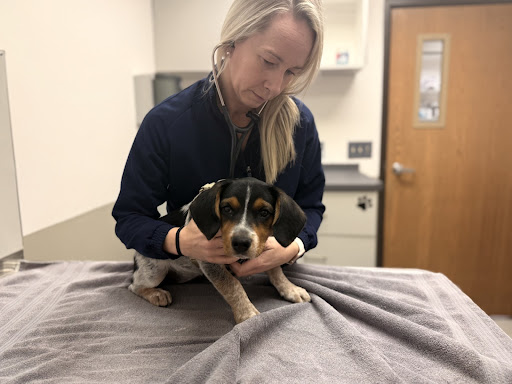 Suburban Animal Clinic image