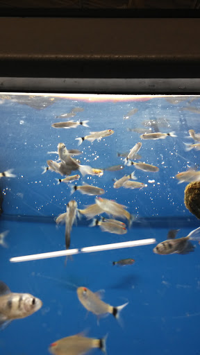 Pet Supply Store «Petco Animal Supplies», reviews and photos, 16434 N Marketplace Blvd, Nampa, ID 83651, USA