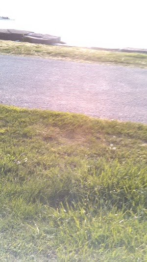 East Ferry Beach - photo 83