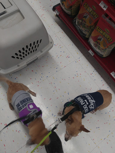 Pet Supply Store «Petco Animal Supplies», reviews and photos, 1018 Mt Prospect Plaza, Mt Prospect, IL 60056, USA