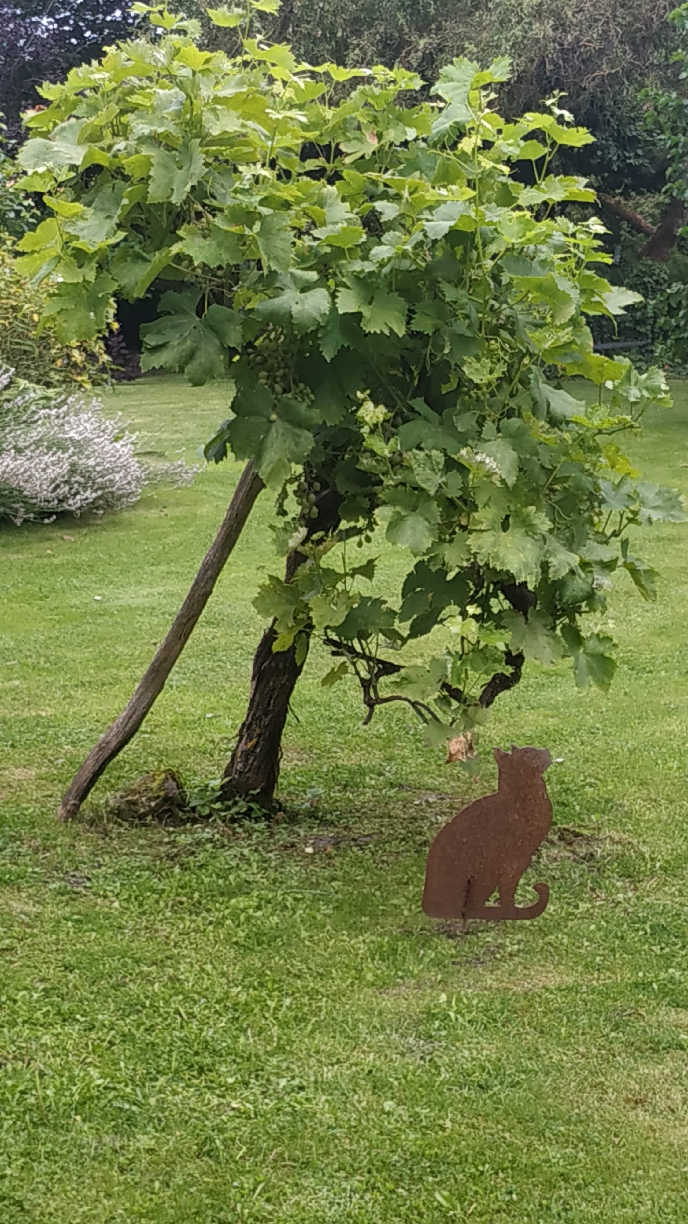 Photo n° 23 de l'avis de The.a fait le 13/08/2021 à 14:55