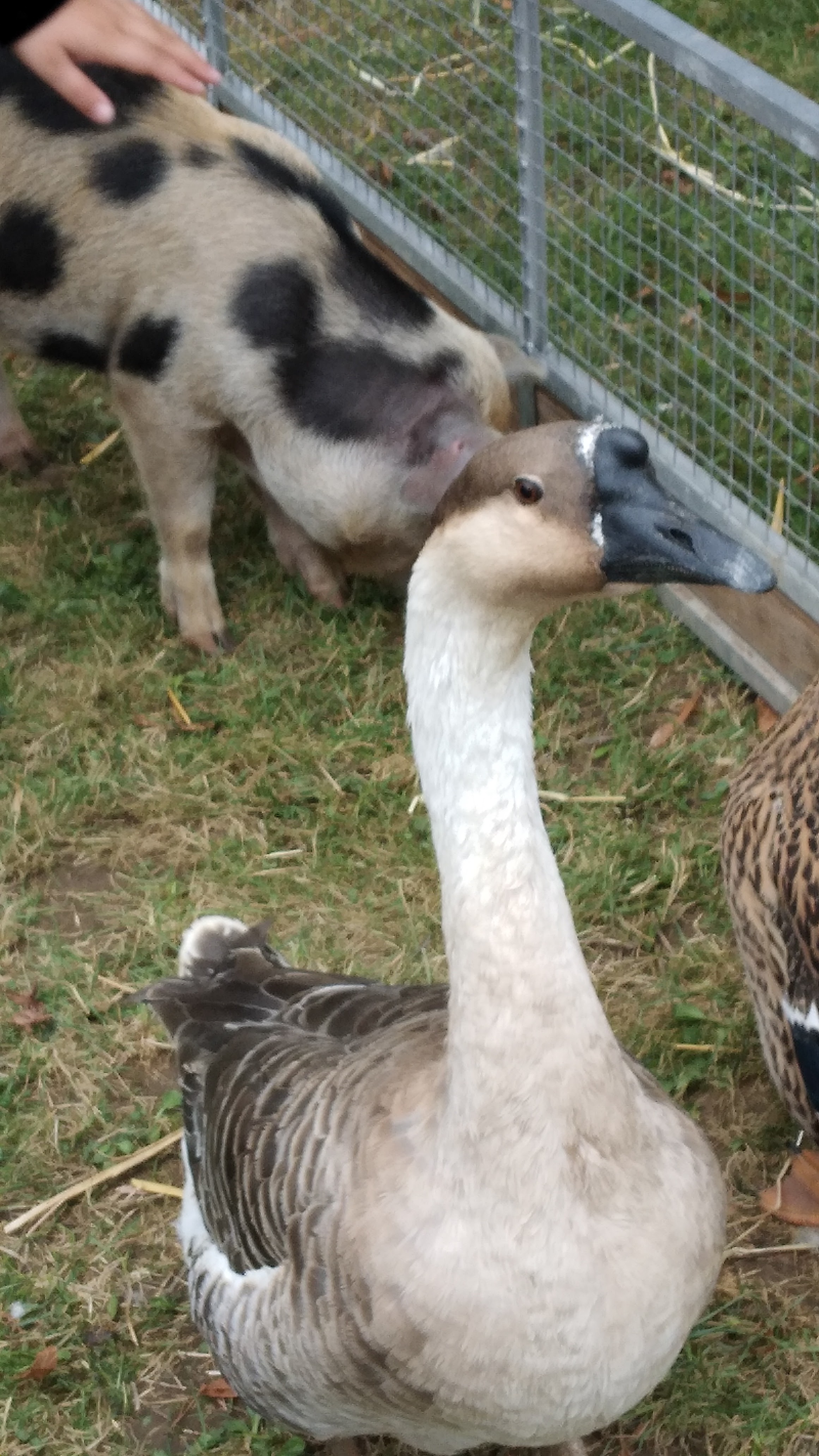 Photo n° 1 de l'avis de Christine.a fait le 23/09/2023 à 15:43