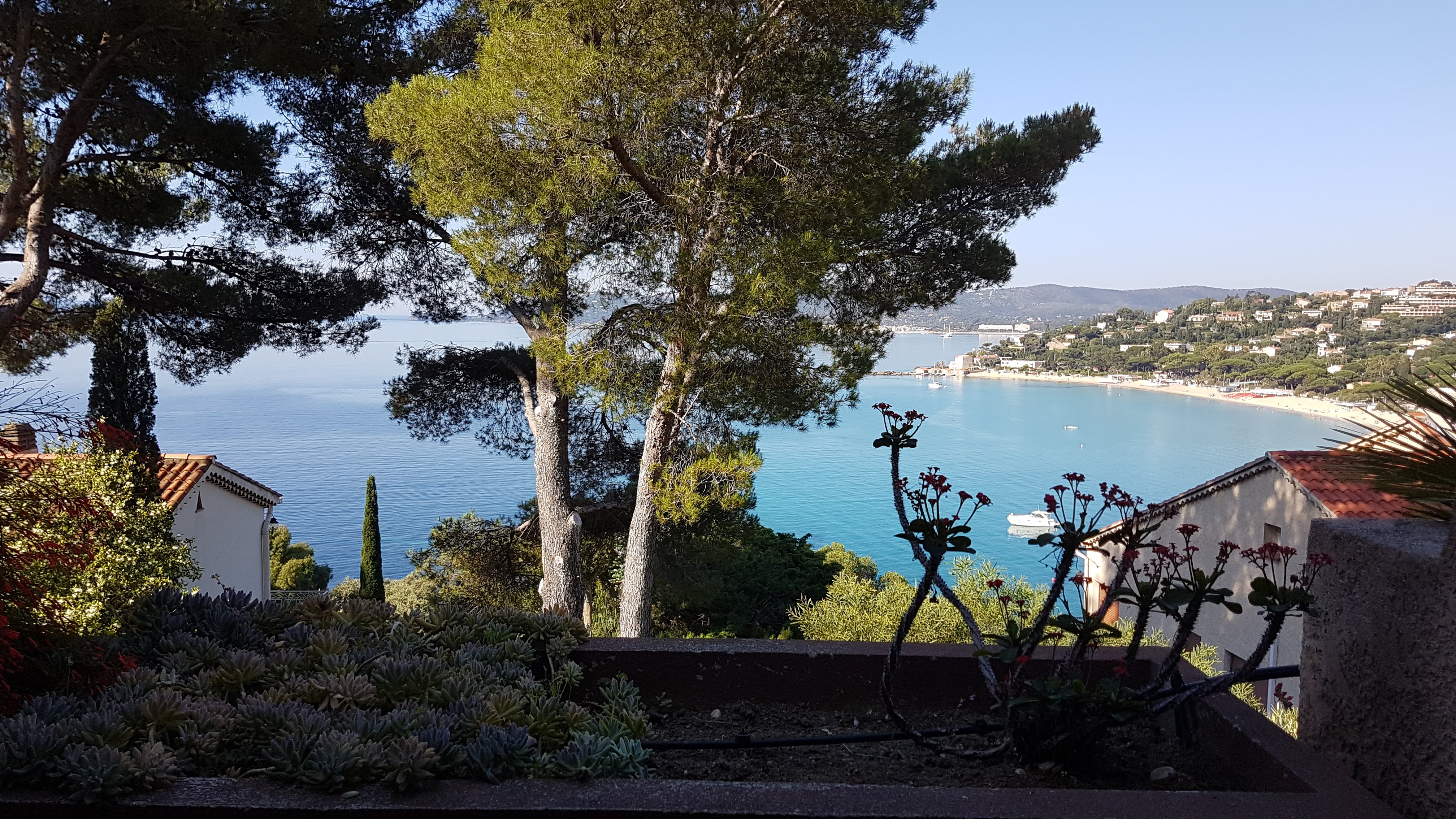 Photo n° 1 de l'avis de Pascal.O fait le 17/06/2018 à 07:58