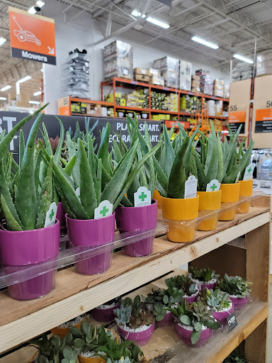 Home Improvement Store «The Home Depot», reviews and photos, 810 S Taylor St, Green Bay, WI 54303, USA