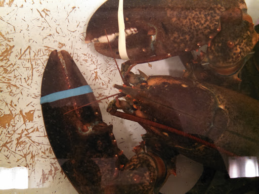 Seafood Market «Bob Lobster», reviews and photos, 49 Plum Island Turnpike, Newbury, MA 01951, USA