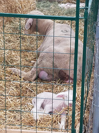 Arena «Utz Arena», reviews and photos, 334 Carlisle Avenue, York, PA 17404, USA