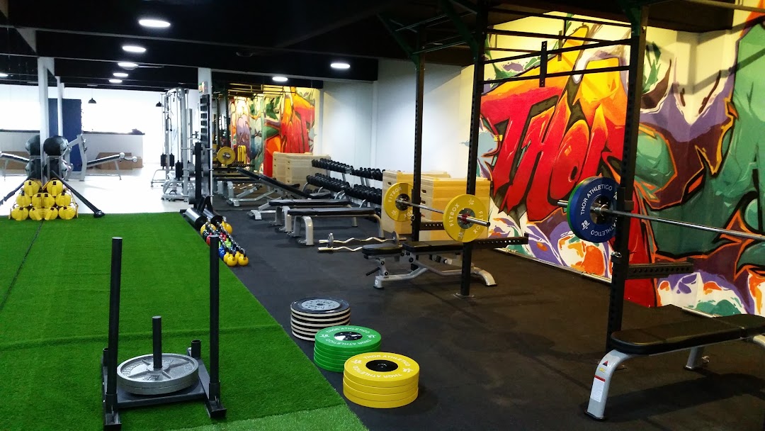 Thor Athletics Fitness Gym